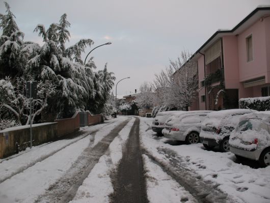 Foto Nevicate