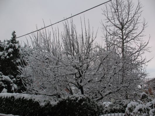 Foto neve per desktop