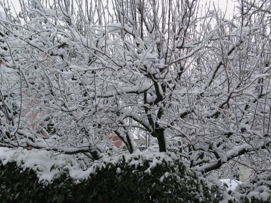 Foto neve per blog