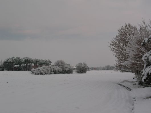 Neve sui campi