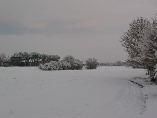 Campi innevati
