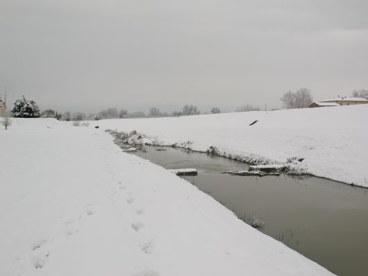 Fiume con la neve