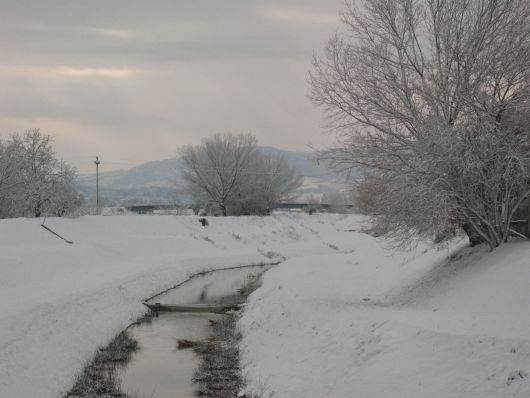 Foto Ponsacco Neve 2009