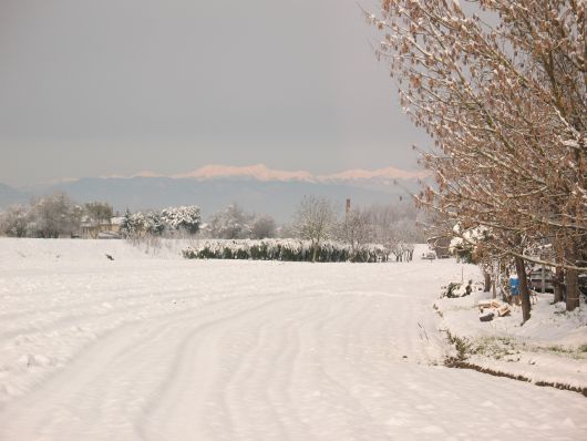 Paesaggi con neve