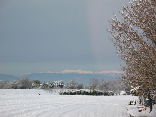 Paesaggio con la neve