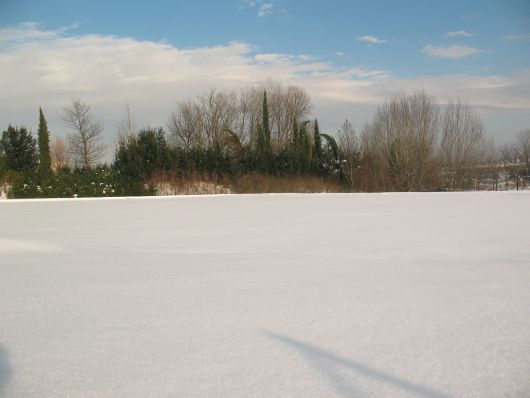 Campo innevato