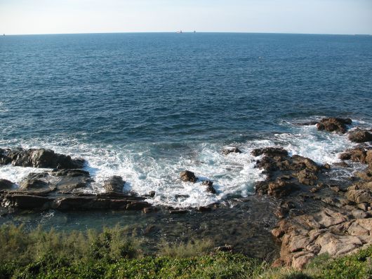 Foto costa Livorno