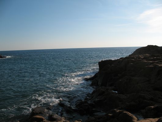 Onde sugli scogli