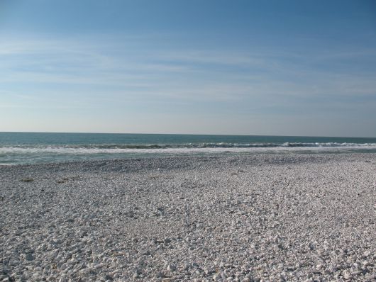 Ciottoli bianchi sulla spiaggia a Marina di Pisa