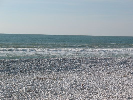 Il mare a Marina di Pisa