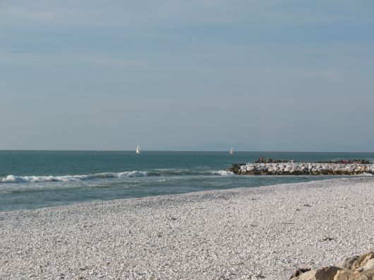 Le spiagge di ciottoli di Marina di Pisa foto